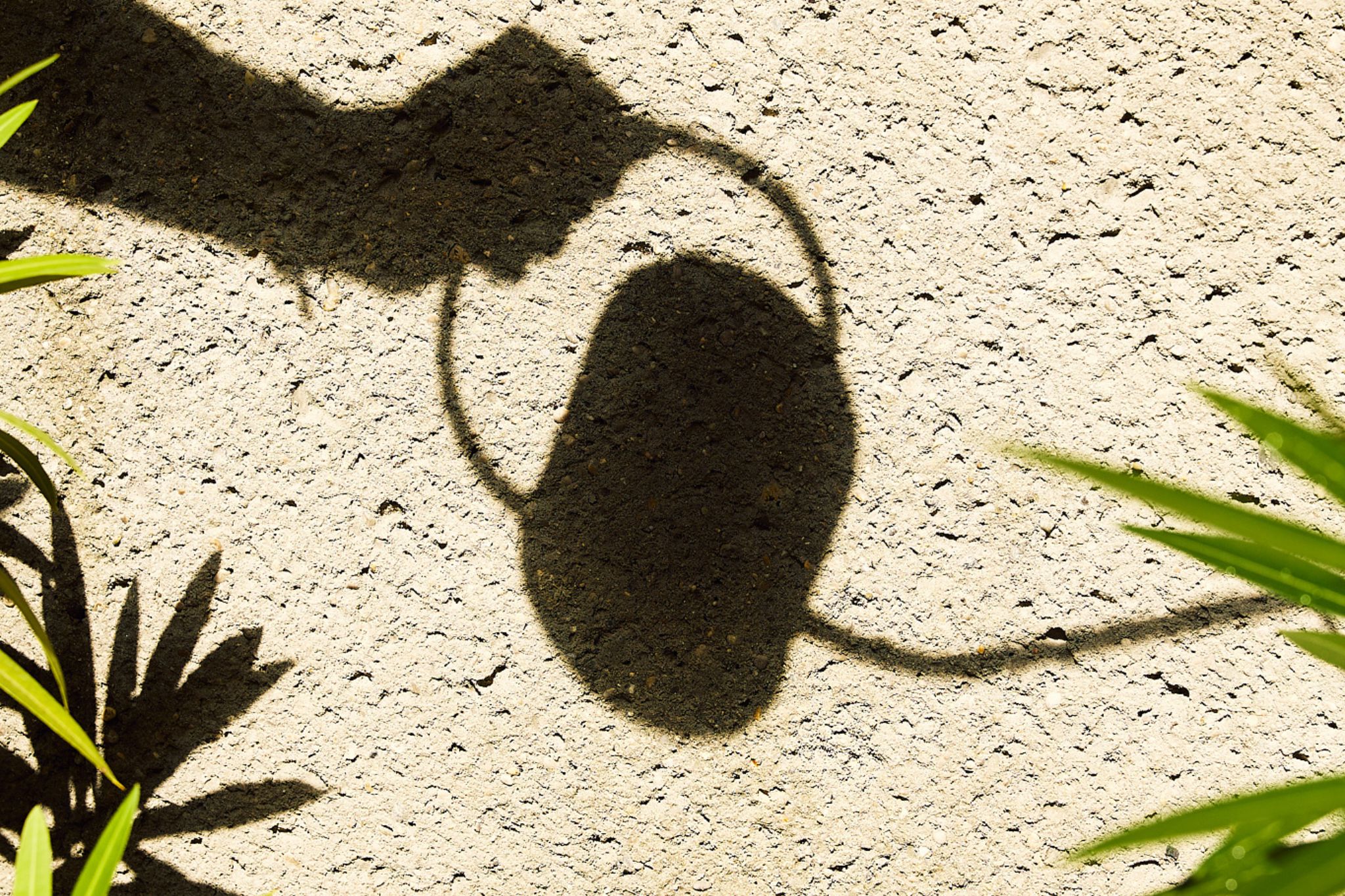 Schatten einer Gießkanne auf hellem Betonboden.